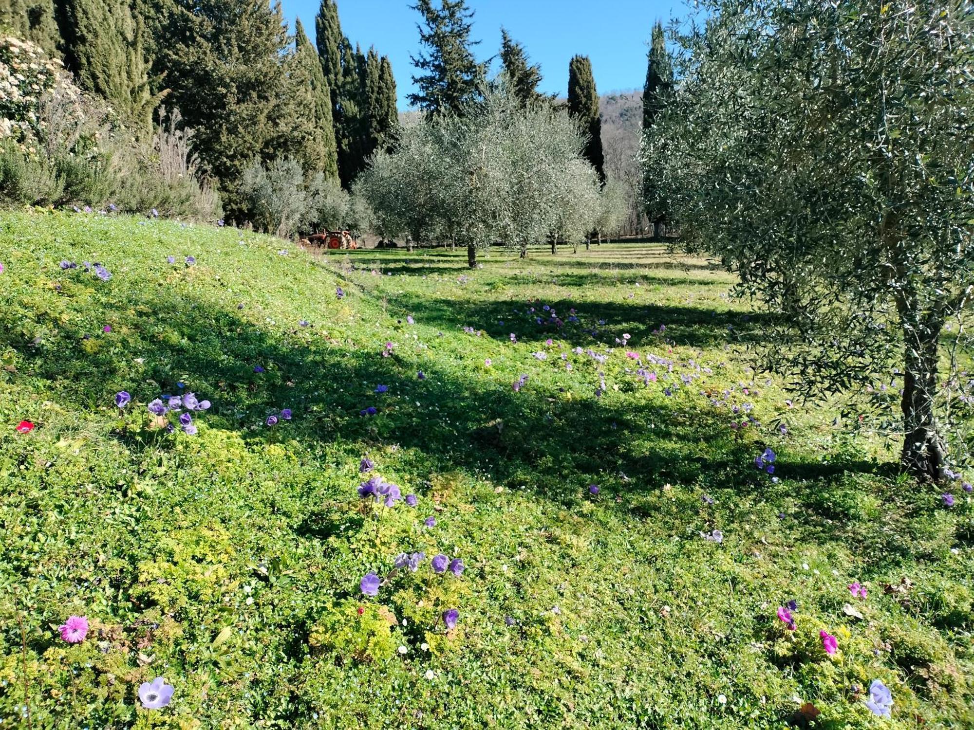 Agriturismo Natura E Salute Сан-Джиминьяно Экстерьер фото